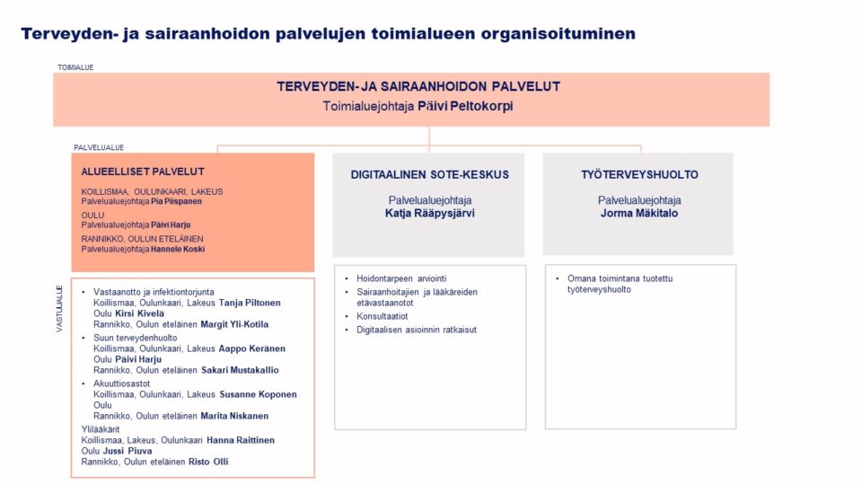 Terveyden Ja Sairaanhoidon Palvelut - Pohde