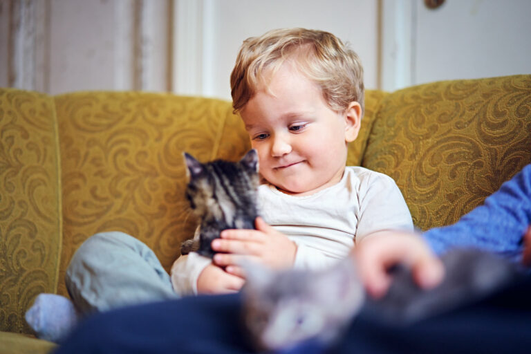 Nuori poika istuu sohvalla hymyillen ja pitää kissaa sylissään