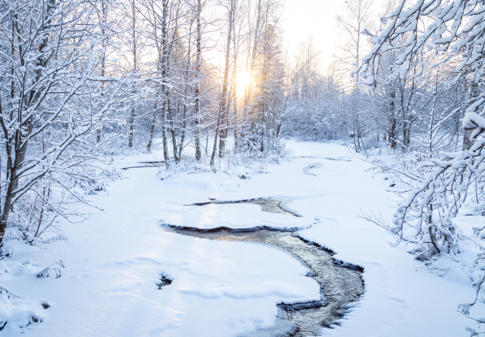 Kuurainen ja aurinkoinen jokimaisema.